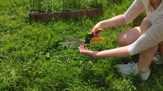 Cадовые ножницы для травы GREEN GARDEN 3118-S2, поворотные, 12 положений, вращение на 360 градусов. смотреть онлайн