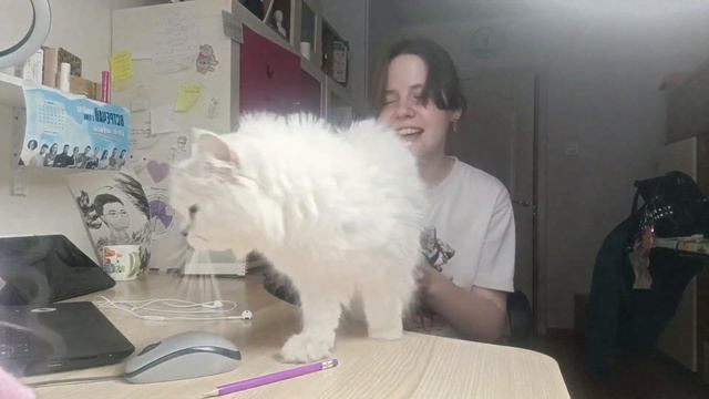 Study vlog | Готовлюсь к ЕГЭ, будни одиннадцатиклассницы || Не схожу с ума после каникул, учеба 🤡💯