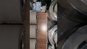 DJ-F306DB кромкооблицовочный автоматический станок (запуск)