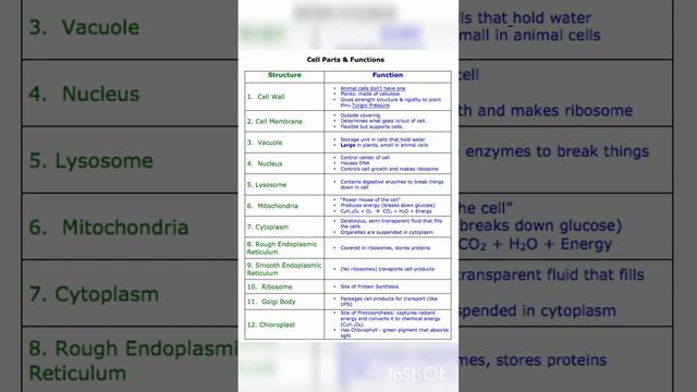 #cell organelles and functions #GkQuiz and study IQ Cell organelles and it's function