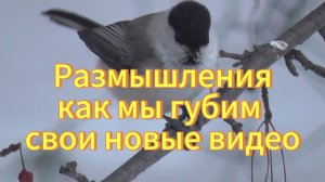 Как мы губим свои новые видео на рутуб. Мои размышления на фоне зимнего видео про птичек.