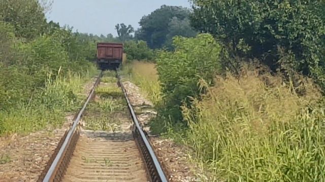 Serbia Cargo locomotive 661-243 (NS-PA) prolazi stajalište Donji Titel - Titel, 25. jul 2019. смотреть онлайн