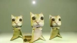Котики танцуют под Куми Куми