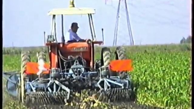 Tempi ....passati смотреть онлайн