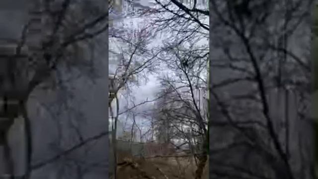 Деревенская изба. Краеведческая практическая лекция