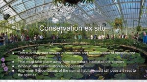 Conservation: in situ and ex situ