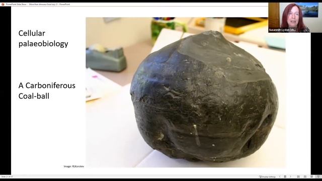 More Than Dinosaur Food: What plant fossils can tell us...Dr Susie Lydon (University of Nottingham)