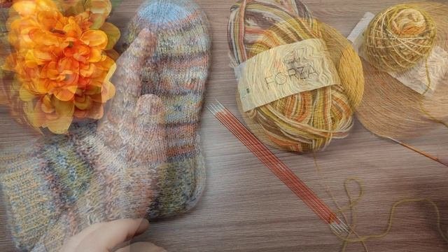 Носки из пряжи Форза с под мотам. Ноябрь первый старт 2024