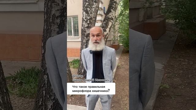 Что такое нормальная микрофлора кишечника?