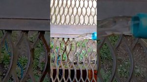 Как правильно поливать сад огорода цветы растения, как пользоваться лейкой чтобы не размывать грунт