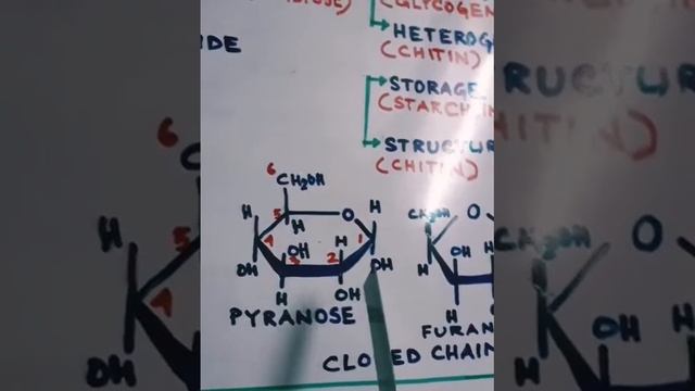 Biomolecules(Class XI)