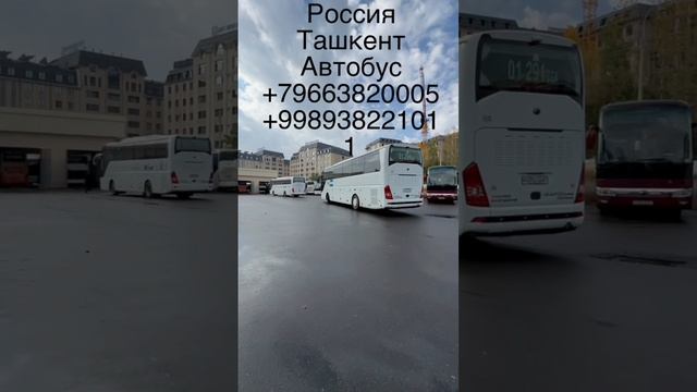 Россия_Ташкент_Автобус россия ташкент автобус rossiya tashkent aftobus