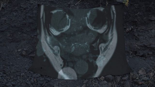 Otrávená krajina смотреть онлайн