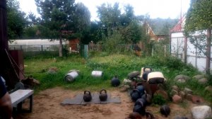 ВАДИМ ИЩЕЙКИН:  "НУ,КАКИЕ ОЩУЩЕНЬИЦА?" ПОПЫТКА НА 98 КГ (ДВА ТРОЙНИКА). ГИРЕВОЙ АЛЬМАНАХ - 2020.