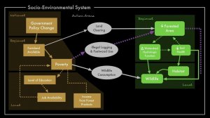 An example of a socio-environmental system in 3 minutes