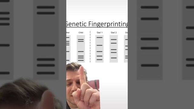 gel electrophoresis part 3#biology #biology #education #biology #biology смотреть онлайн