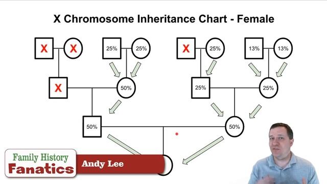 XDNA- Should you use it to build your tree? | Genetic Genealogy Explained