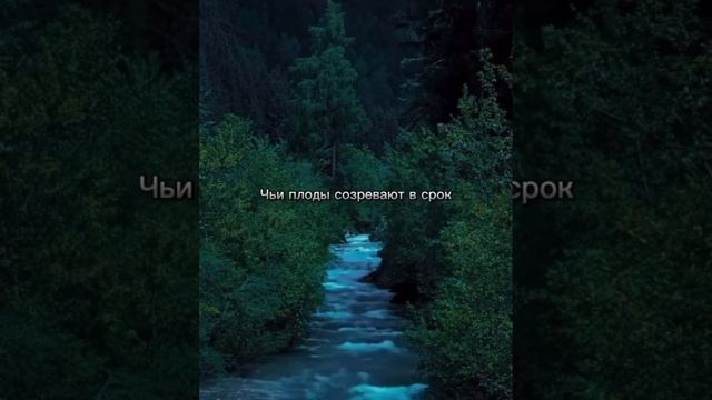 Господи,помилуй🙏🏻