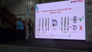 ВЫРАЩИВАНИЕ МАЛИНЫ И ЕЖЕВИКИ ,,LONG CANE“