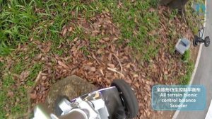 Future dog all-terrain bionic electric balance vehicle