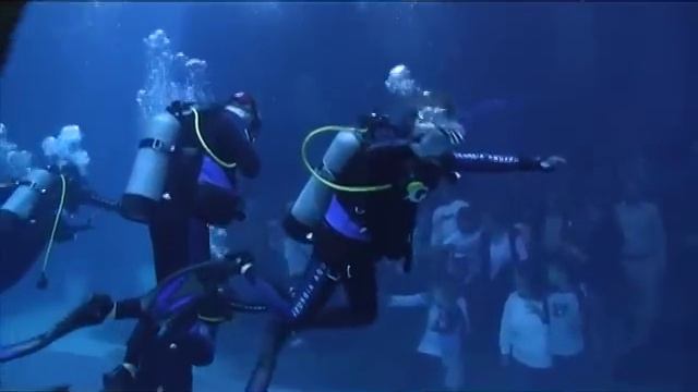 Diving With Whale Sharks смотреть онлайн