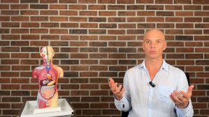 ПОЧЕМУ ПОЯВЛЯЕТСЯ ГЕМОРРОЙ