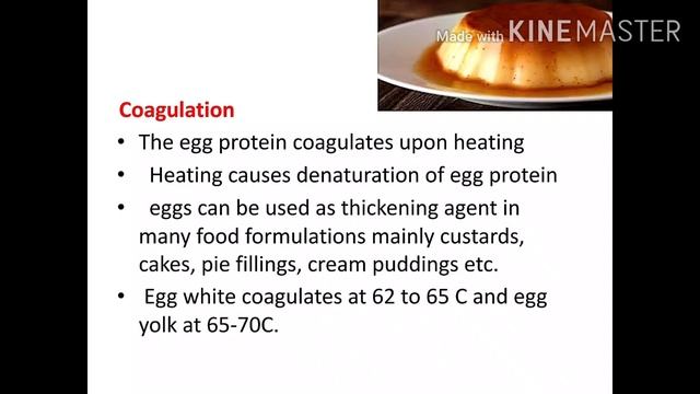 Day 6 EGG - Food Safety Officer Exam
