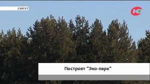 К строительству экопарка в Сургуте приступят уже в мае