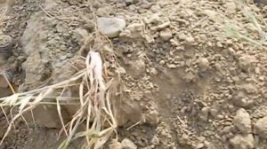 Ata Arms Neo 12-- стрельба пулей "Оз Кара" от  "QARTAL" на 100 метров.