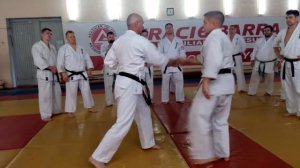 Кихон пинаны семинар 2015 года. Кекушин Будокай кан. Школа Астафьев рю. Новосибирск