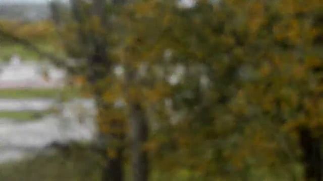 ДРИФТ БЕЛАЯ СТРЕЛА смотреть онлайн