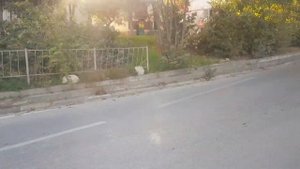 Севастопольский Троллейбус на ВМЗ 5298.01 Авангард до б.Стрелецкая 07.11.2022г.