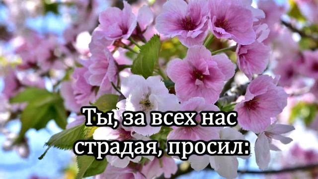 4 № 215 Я хочу, мой Спаситель любить _ Караоке с голосом _ Христианские песни _ Ги смотреть онлайн