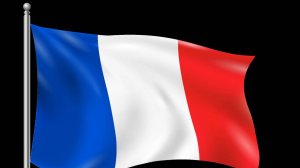 Французский язык, занятие 22.11. Педагог Ковалев В.В.