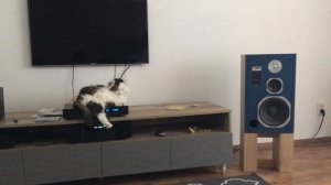 Test JBL 4313B, 0 postition