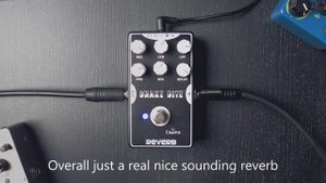 Caline Snake Bite Reverb Demo playthrough (no talking)