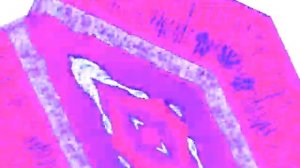 Veg Replace Tennis Рекламный блок ОРТ 04 10 03г Rounds