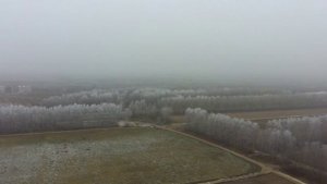 Дипхаус 2024 #deephouse #music #dji #mavic #winterfly