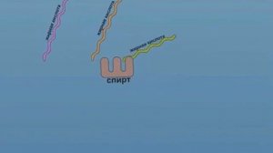 Опыты в ЕГЭ и ОГЭ по биологии- опыт Миллера и Юри