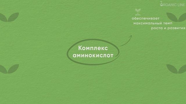 Детальный обзор Биокомплекса Универсальный