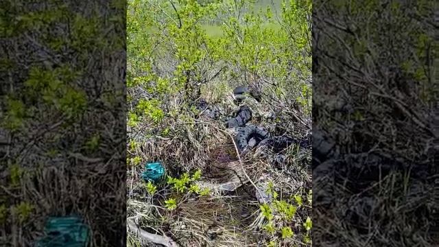 Свалка автопокрышек на природе Камчатки в водоеме. Экология.