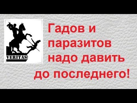 Змей горыныч карикатура. Гад. Сила гад. Карикатуры на змея горыныча. Ты гадина.