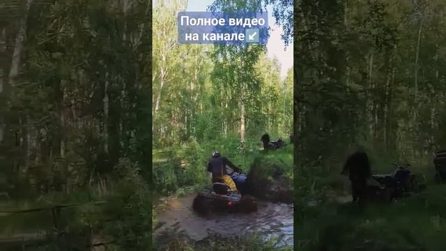 Тянем dinli из болота #atv #квадроциклы смотреть онлайн