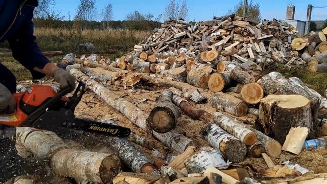 Как там Хускварна 130? Пилим БЕРЁЗУ, рвёт цепь. смотреть онлайн