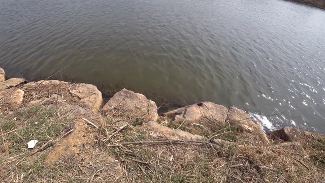 Трудовая охота на сазана смотреть онлайн