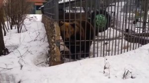 Она тебя сожрет