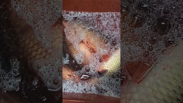 у меня была сегодня ночная охота,было очень интересно,скоро будет видео на моем канале,не пропустите смотреть онлайн