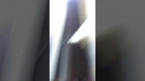 как сделать инкубатор 🐣