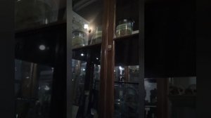 Анатомический музей Одессы