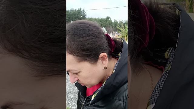 Посмотрели на 🌊 Поехали в клинику😊